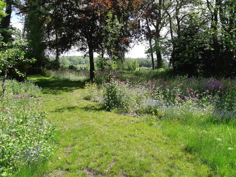 biodivers gazon overgaand in bloemenweide